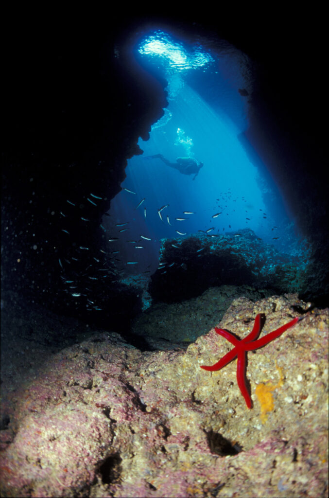 Zona A - ingresso immersione Grotta del Capo. Ph. Consorzio Plemmirio